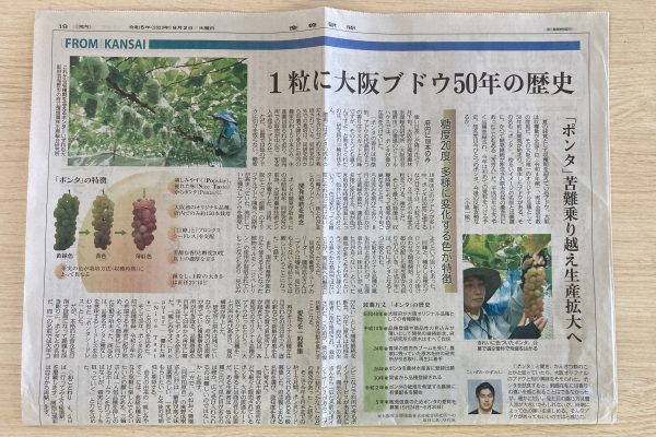 大阪府オリジナルぶどう「ポンタ」の記事にコメント掲載　産経新聞