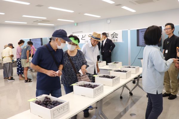 品評会開催風景