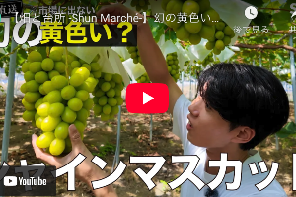 フォロワー５６万人超え！？Shunチャンネル出演📽️